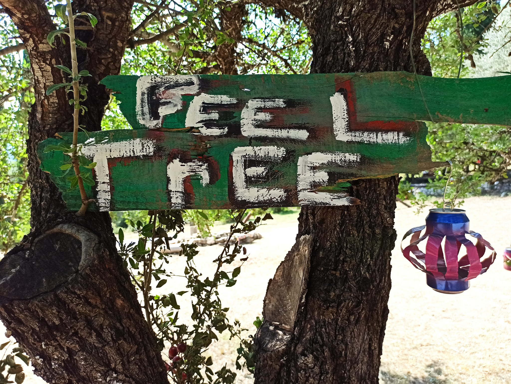 Feel Free Spirit
