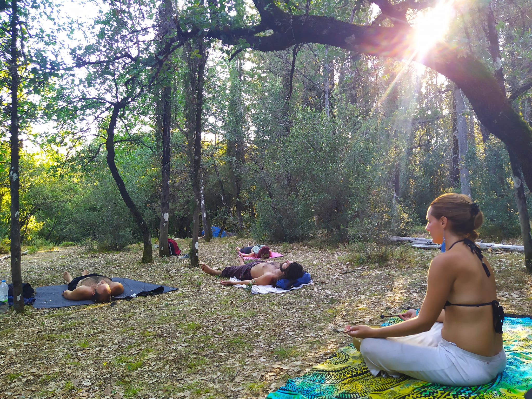 Forest Meditation Session