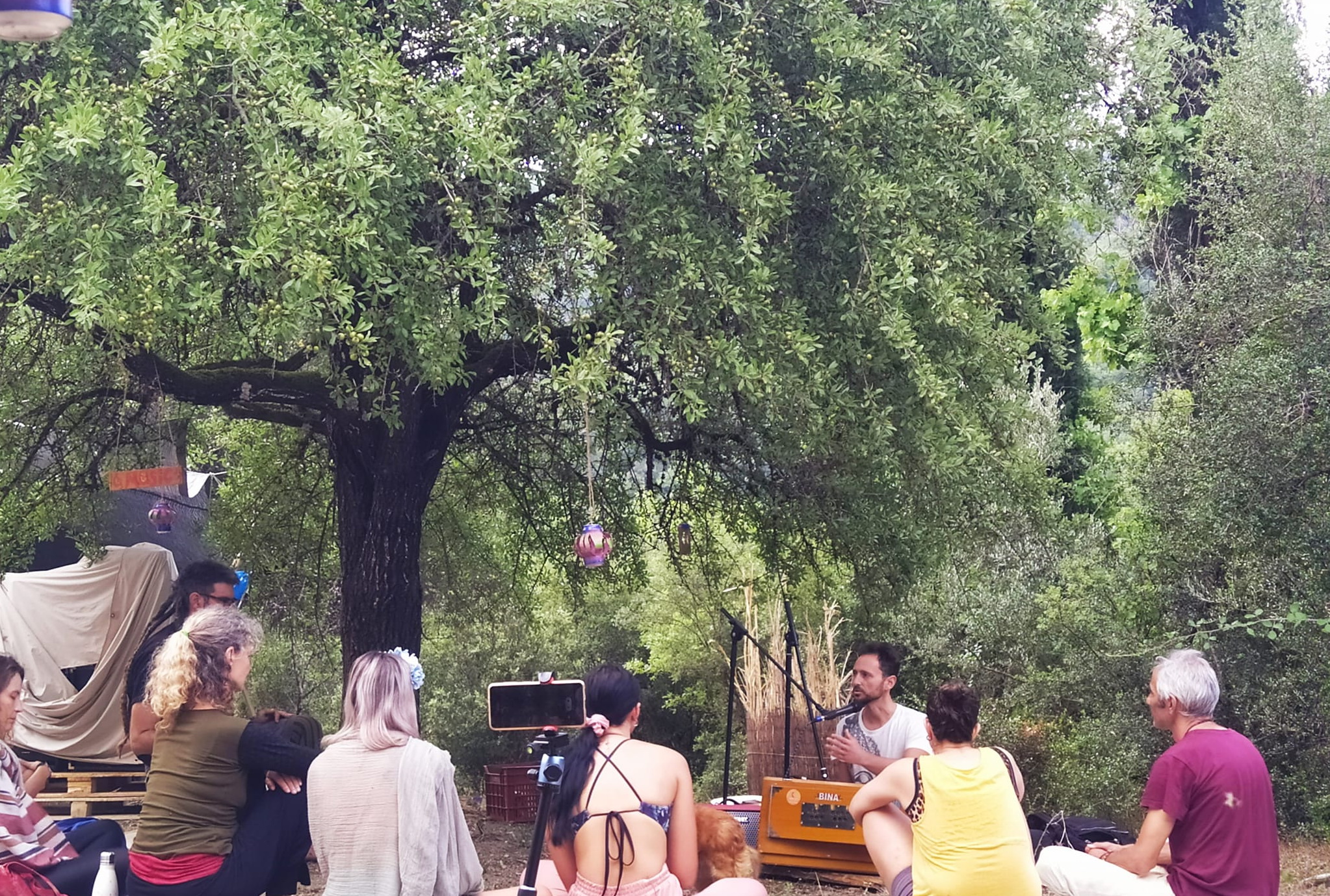 Forest Workshop Talk