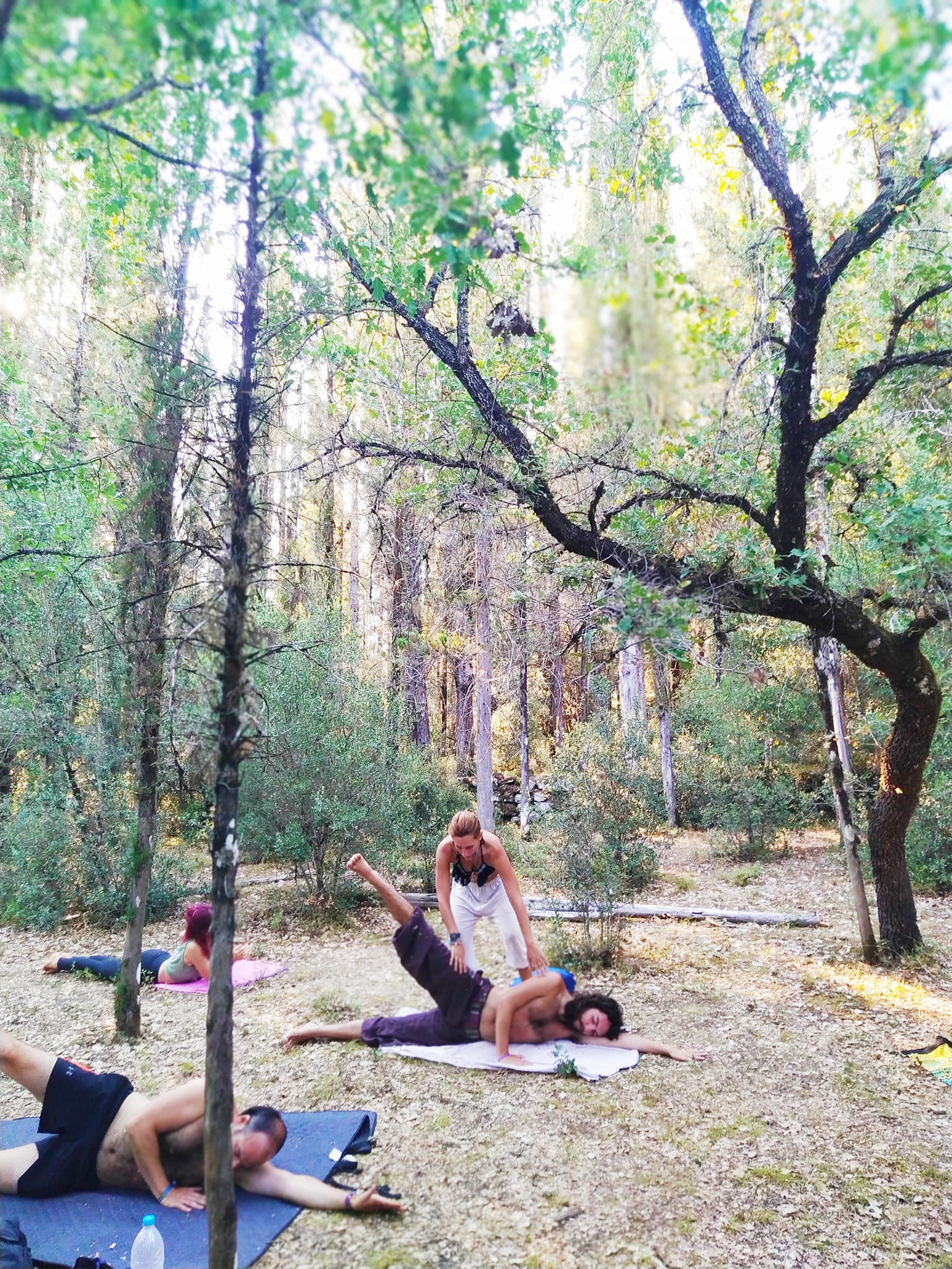 Forest Yoga Session