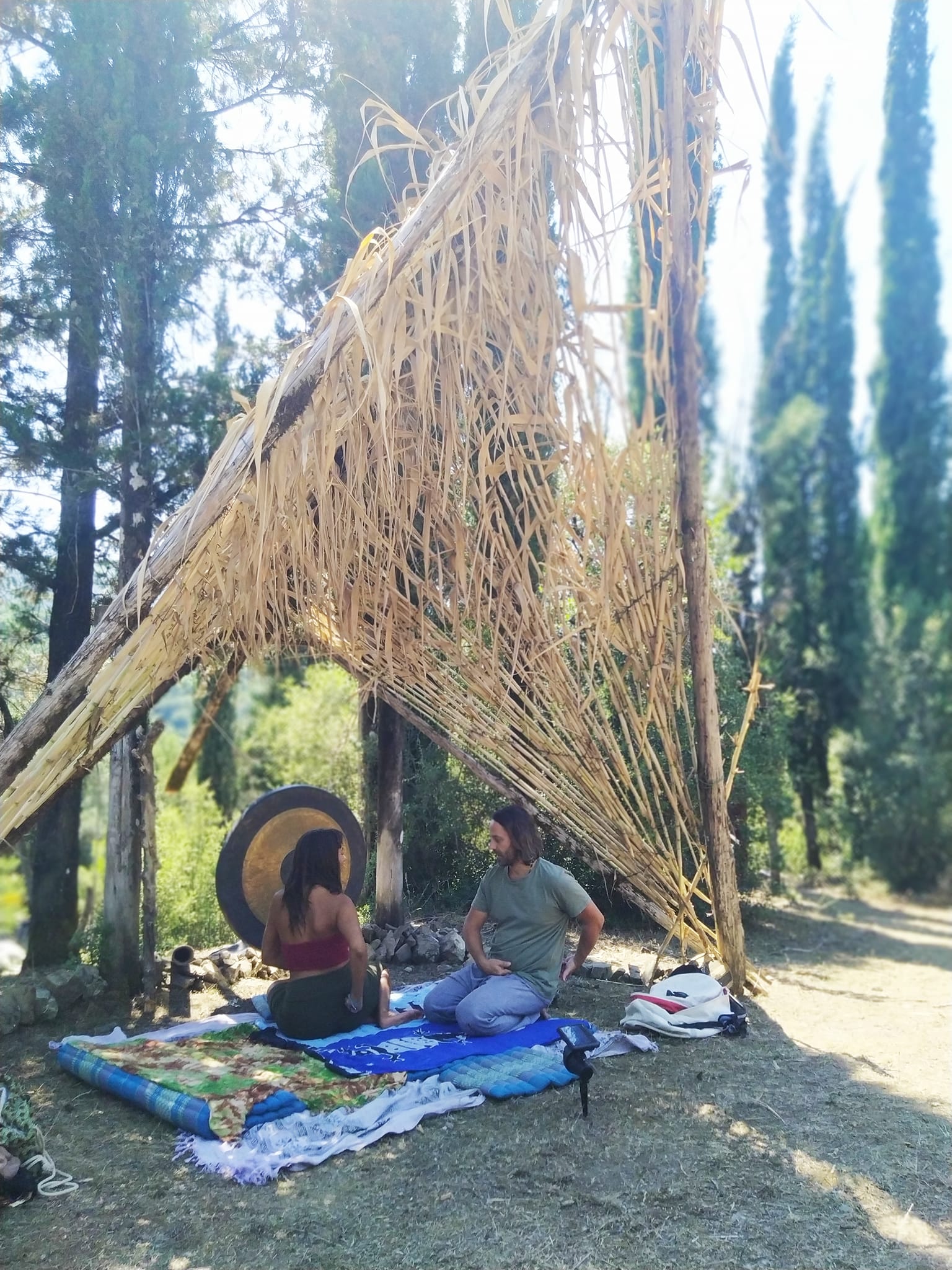 Natural Shelter Rest