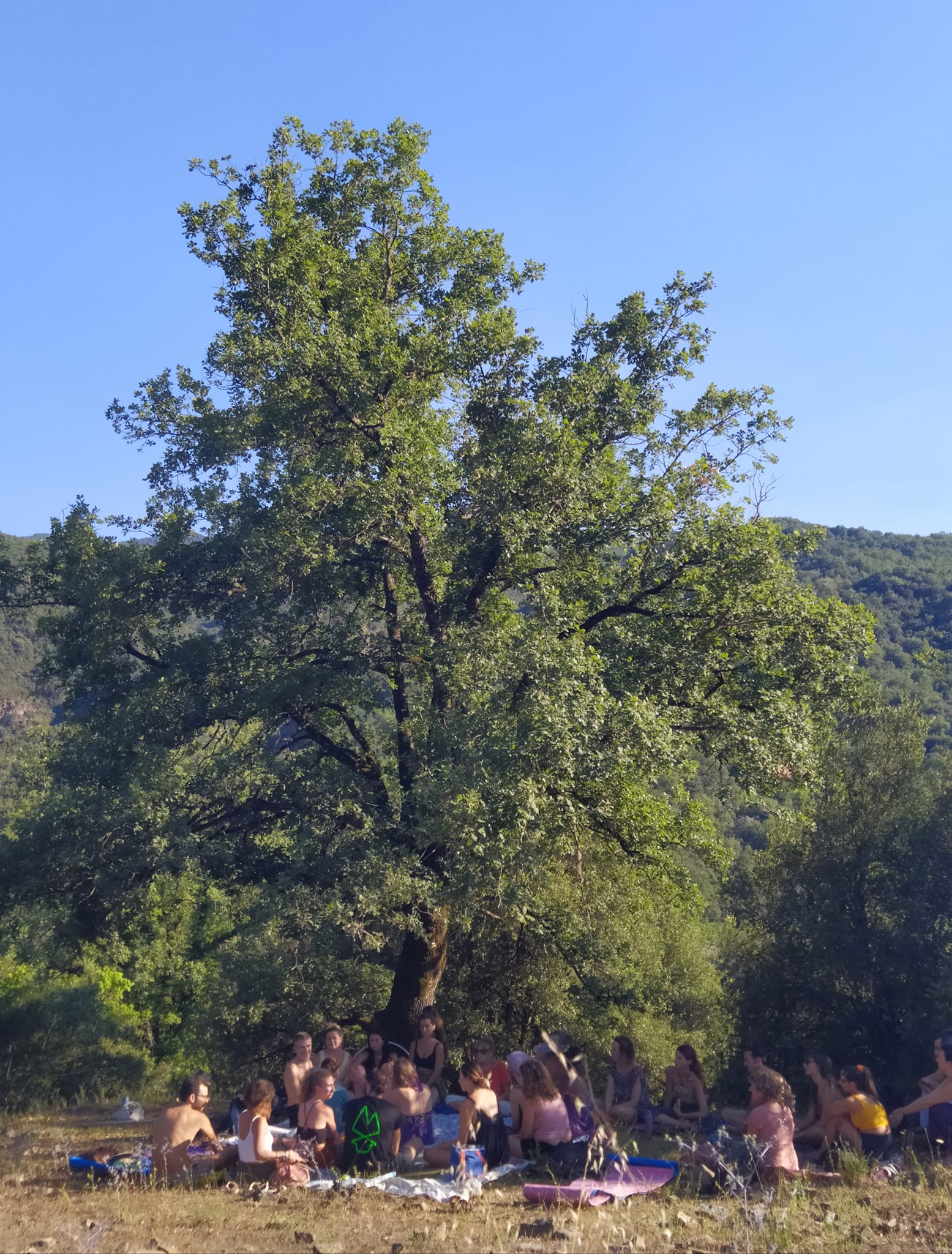 Tree Gathering Community